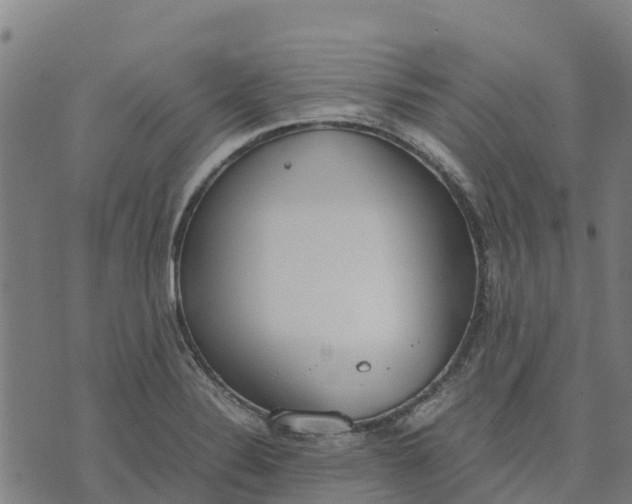 X0000070381324200606231702