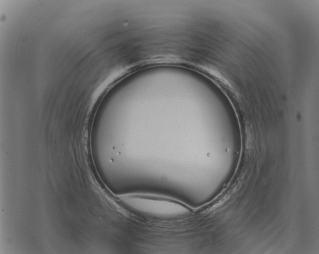 X0000070381325200606231702