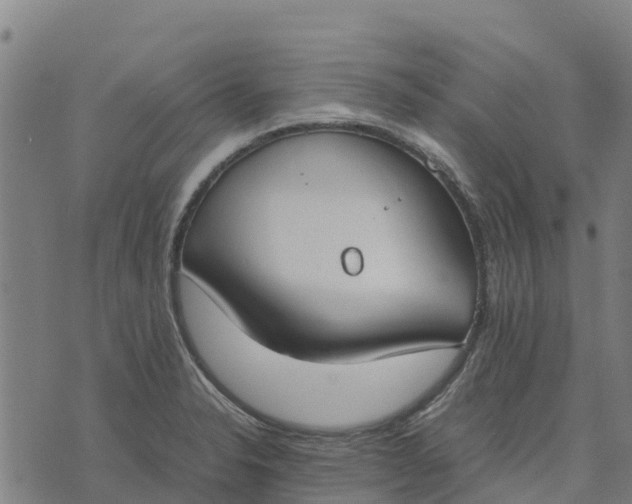 X0000070381326200606231702