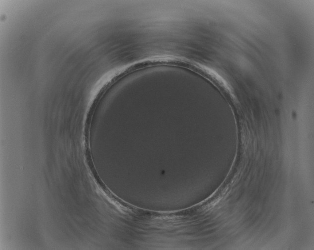 X0000070381327200606231702