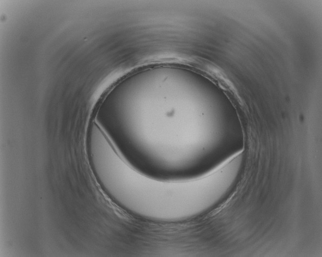 X0000070381328200606231702