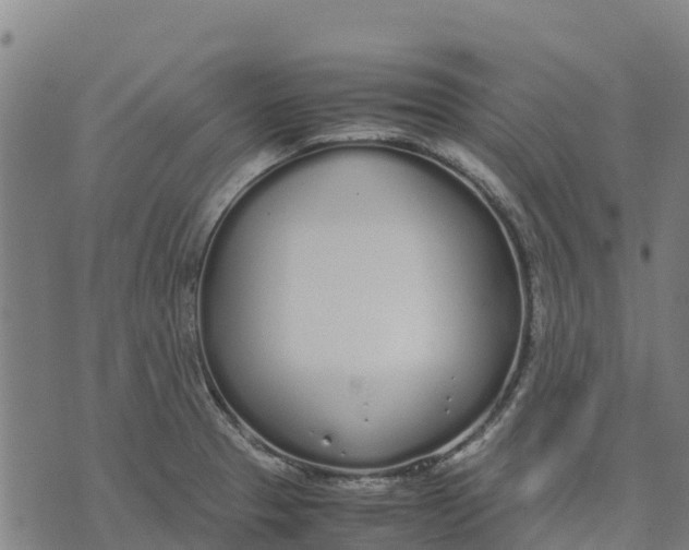 X0000070381329200606231702