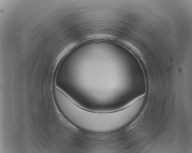 X0000070381330200606231702