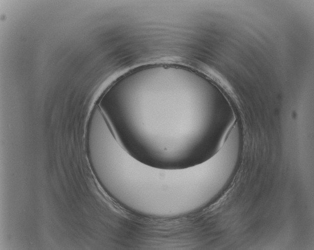 X0000070381332200606231703