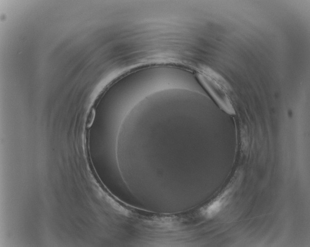 X0000070381334200606231703