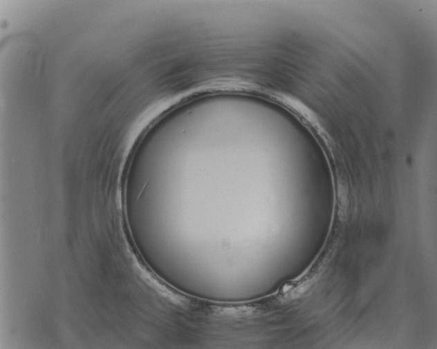 X0000070381335200606231703