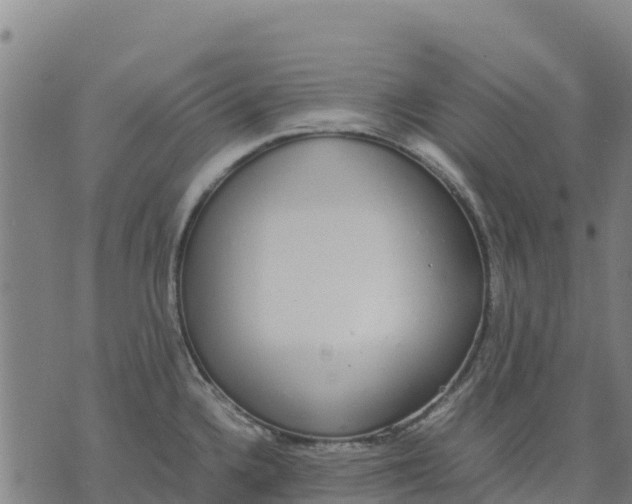 X0000070381336200606231703