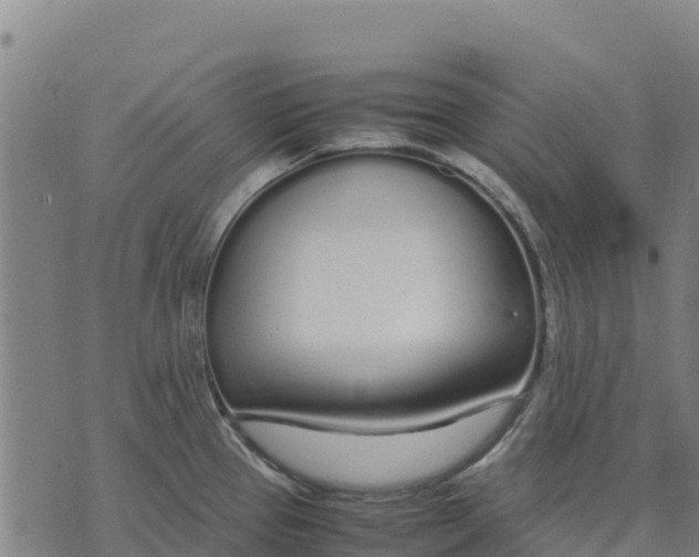 X0000070381337200606231703