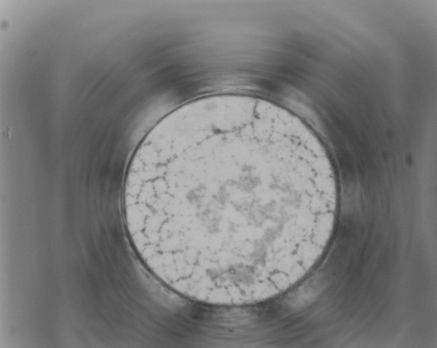 X0000070381338200606231703