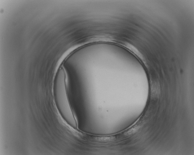 X0000070381339200606231703