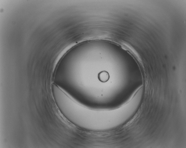 X0000070381340200606231703