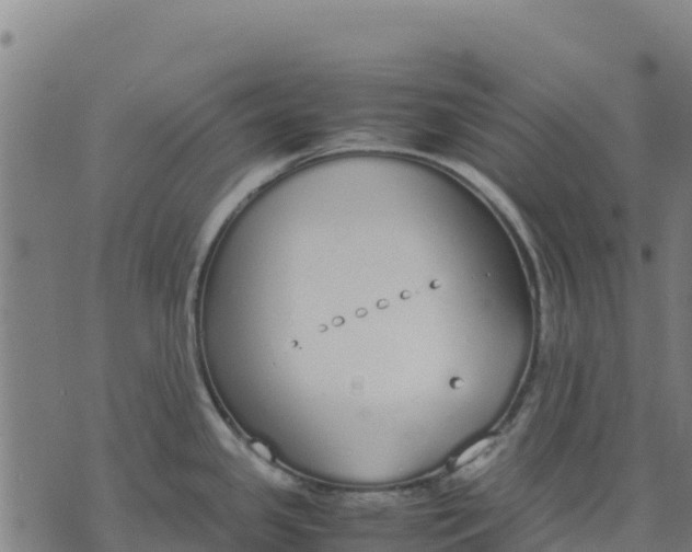 X0000070381341200606231703