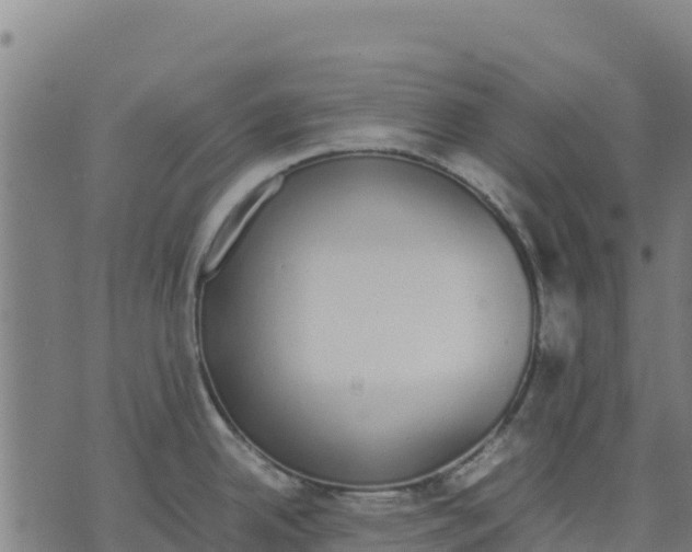 X0000070381342200606231703