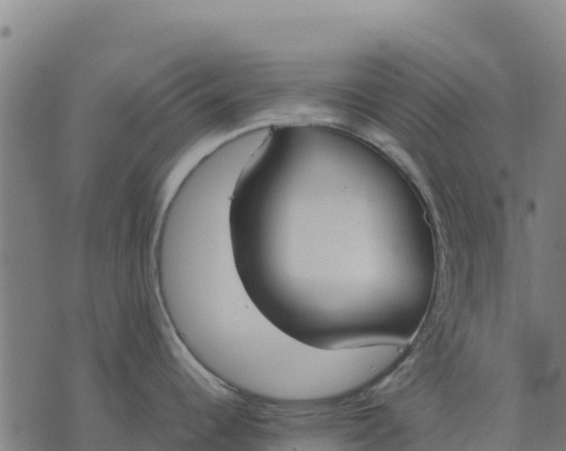 X0000070381344200606231703