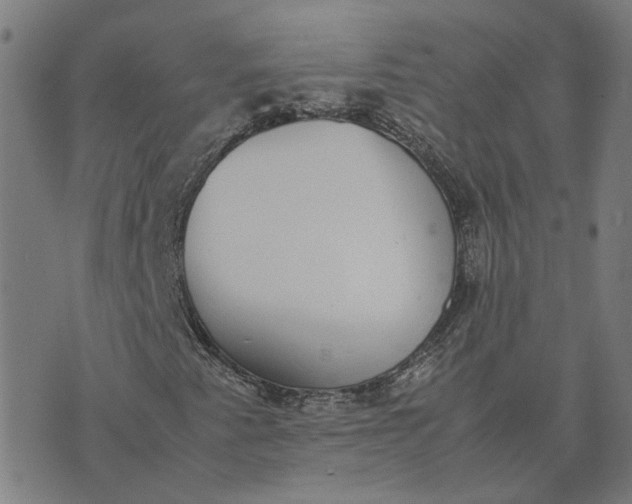 X0000070381345200606231702