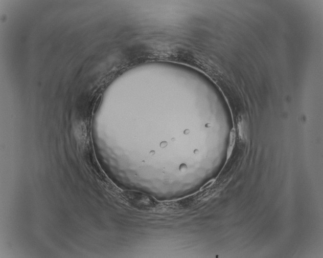 X0000070381347200606231702