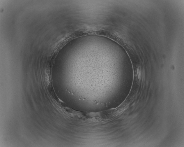 X0000070381348200606231702