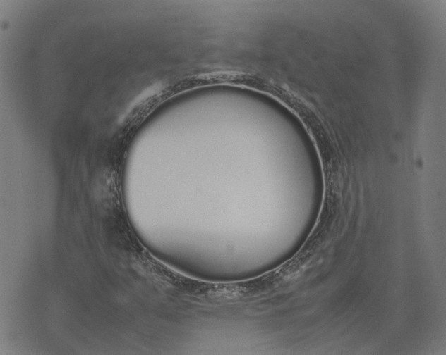 X0000070381351200606231702