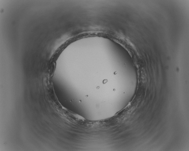 X0000070381352200606231702