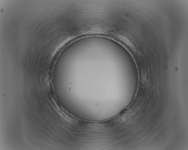 X0000070381356200606231702