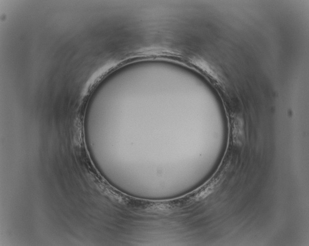 X0000070381358200606231702