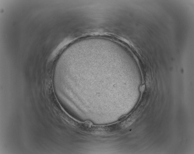 X0000070381359200606231702