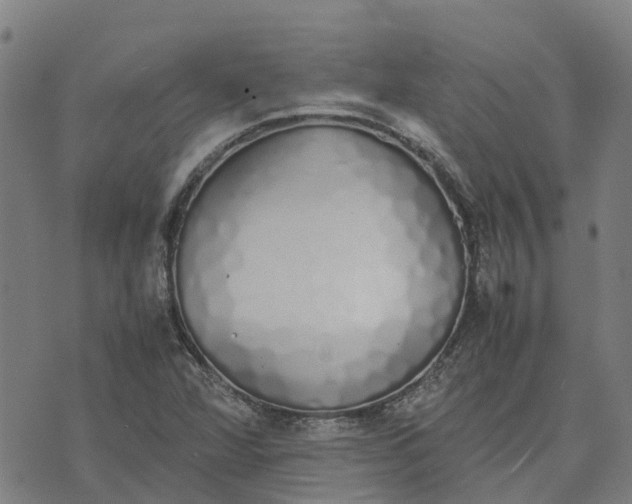 X0000070381360200606231702