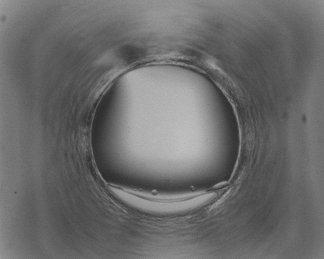 X0000070381361200606231702