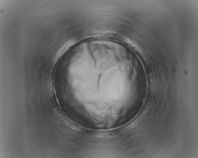 X0000070381362200606231702