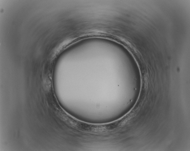 X0000070381363200606231702