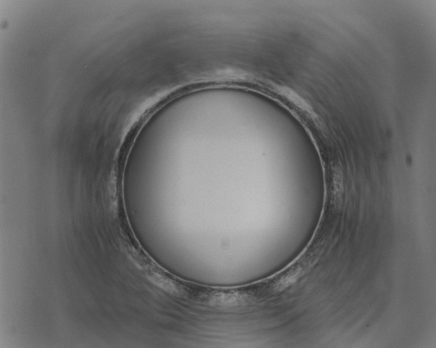 X0000070381364200606231702