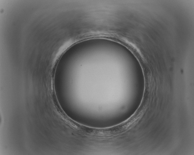 X0000070381365200606231702