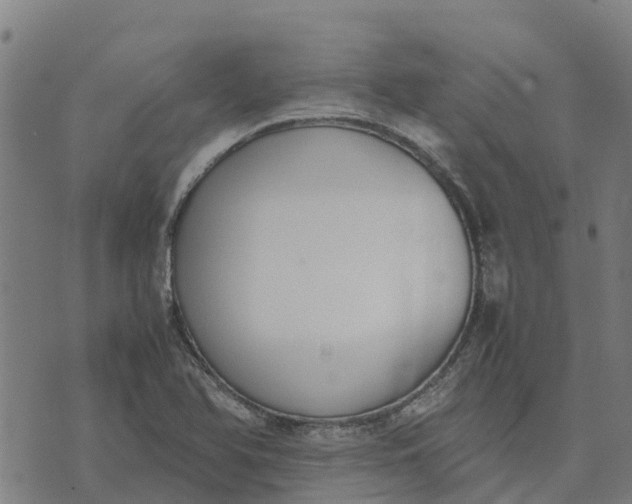 X0000070381366200606231702