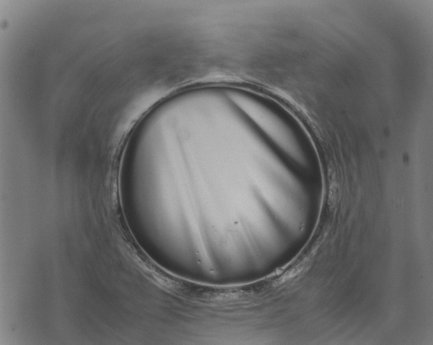 X0000070381367200606231702