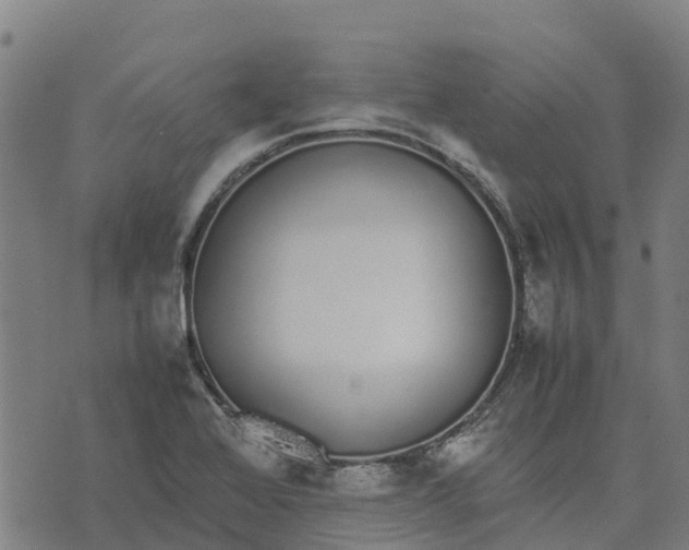 X0000070381368200606231702