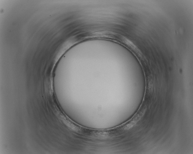 X0000070381370200606231702