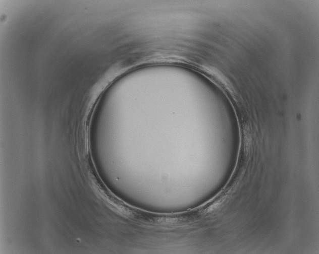 X0000070381371200606231702