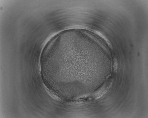 X0000070381372200606231701