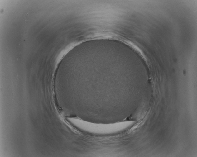 X0000070381373200606231701