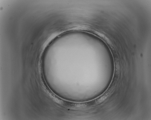 X0000070381375200606231701