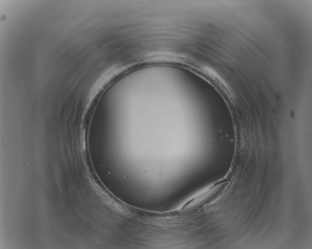 X0000070381376200606231701