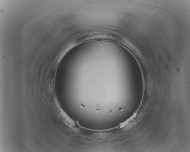 X0000070381377200606231701