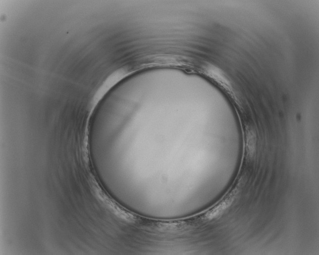 X0000070381378200606231701