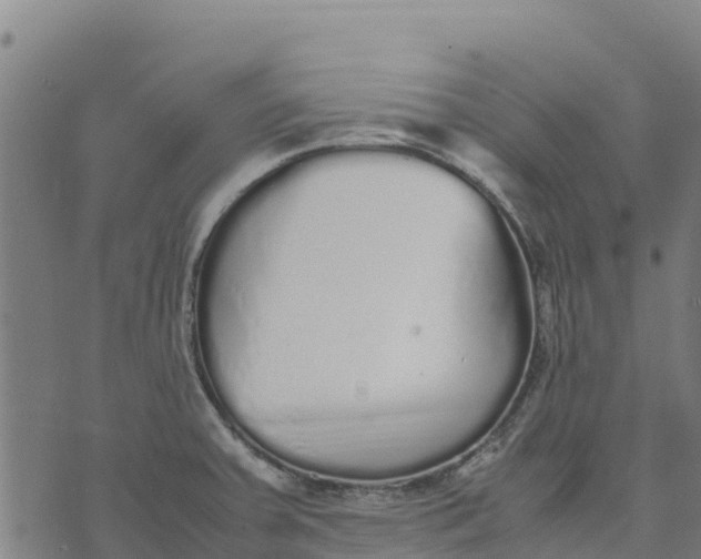 X0000070381379200606231701