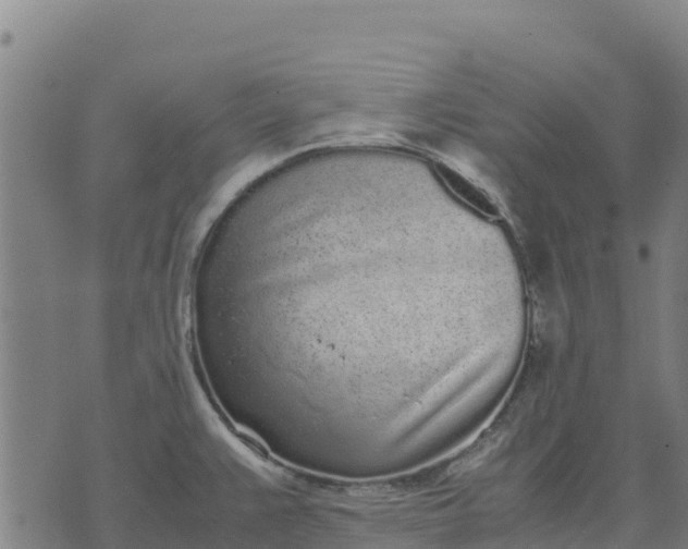 X0000070381383200606231701