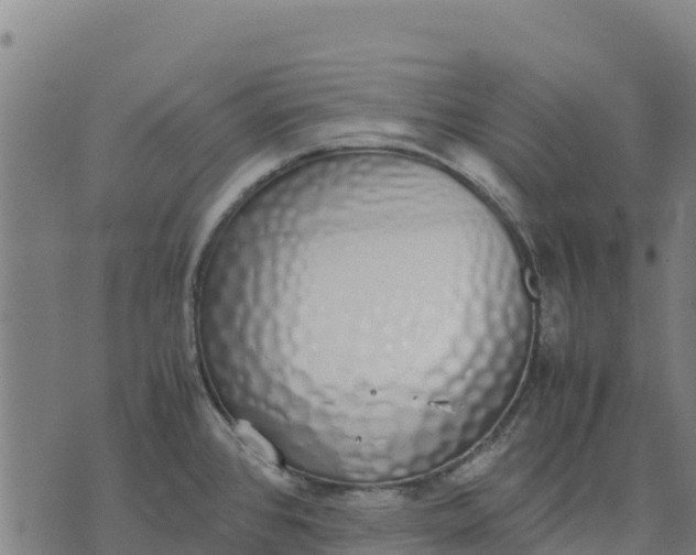 X0000070381384200606231701