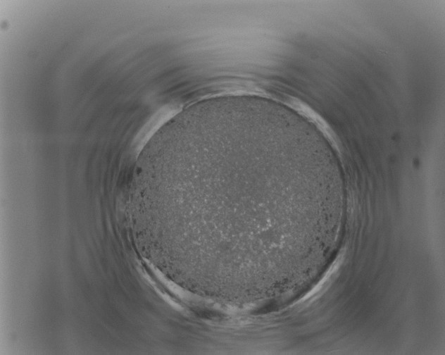 X0000070381385200606231701