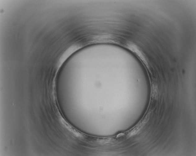 X0000070381386200606231701