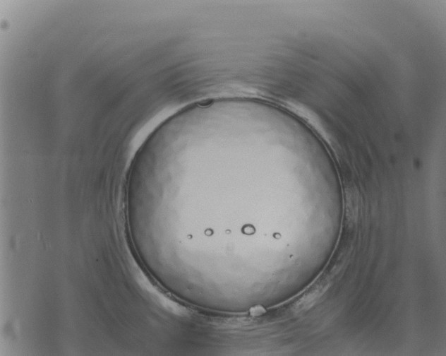 X0000070381387200606231701