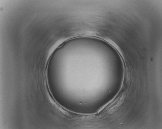 X0000070381389200606231701